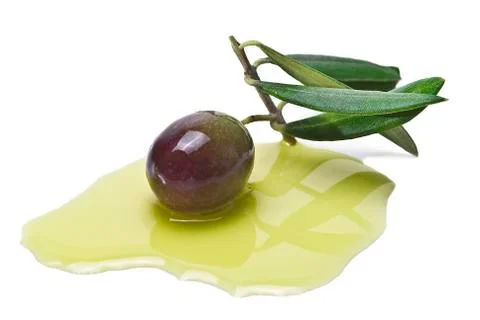 Olive on its branch. Stock Photos