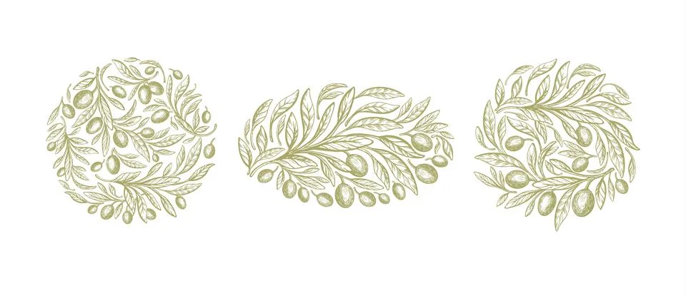 Olive label. Vector set, green leaves, oil fruit Stock Illustration