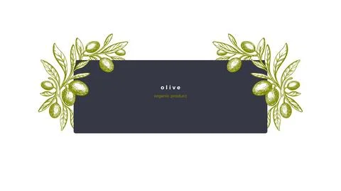 Olive label Vector texture tree, green fruit, leaf Stock Illustration