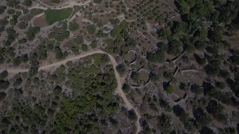 Olive land Stock Footage 143932509