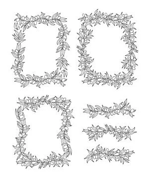 Olive leaf border, nature square frame. Ornament with plant branch for organic Stock Illustration