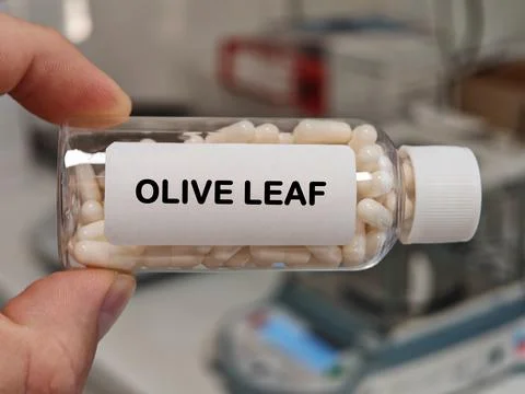 OLIVE LEAF hard capsule herbal botanical supplement for general health and Stock Photos