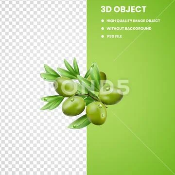 Olive leaf Olive oil, Olive, food, oval green fruit, Olive leaf Olive oil png Modello PSD