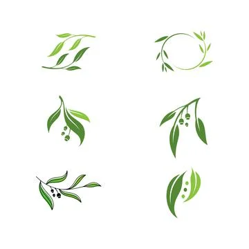 Olive leaf vector illustration design Illustrazione stock