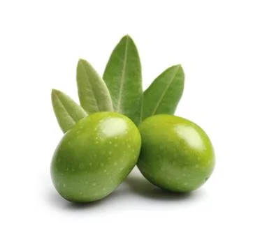 Olive with leaves. Stock Photos