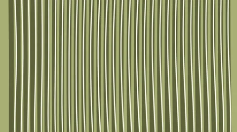 Olive lines Stock Footage 34525051
