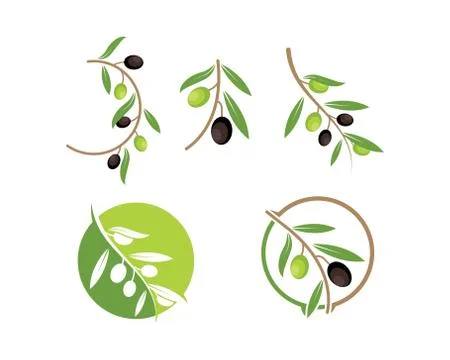 Olive logo icon vector illustration Stock-Illustration
