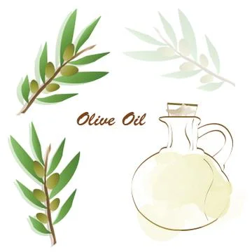 Olive oil advertisement - olive tree vector - bottle with olive oil vector Stock Illustration