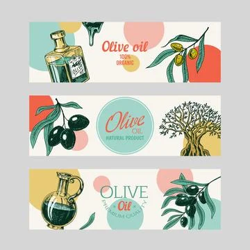 Olive Branch Illustrations ~ Stock Olive Branch Vectors