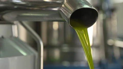Olive oil Stock Footage 237501456