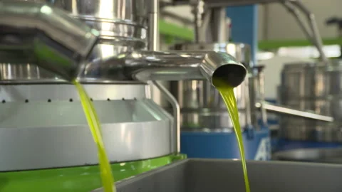 Olive oil Stock Footage 237501530