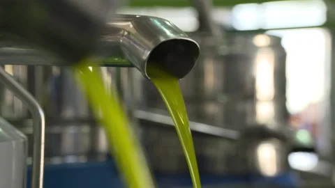 Olive oil Stock Footage 237501618