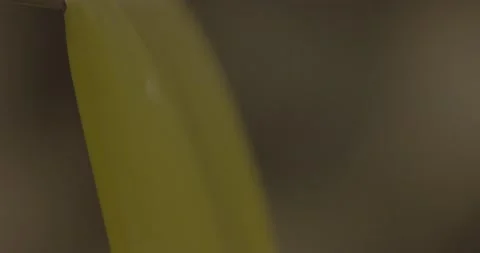 Olive oil in his development Stockbeeldmateriaal 143964058