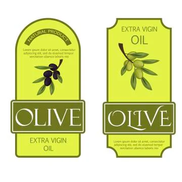 Olive oil labels vector illustration green organic food templates for fresh Stock Illustration