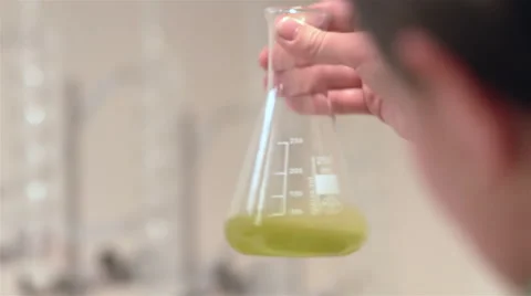 Olive oil laboratory. Stock Footage 62561923
