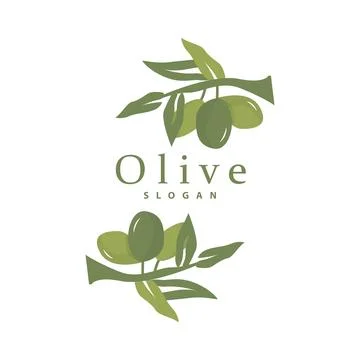 Olive Oil Logo, Olive Leaf Plant Herbal Garden Vector, Simple Elegant Luxur.. Stock Illustration
