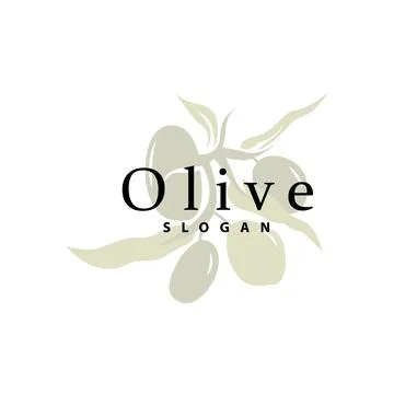 Olive Oil Logo, Olive Leaf Plant Herbal Garden Vector, Simple Elegant Luxur.. Illustrazione stock