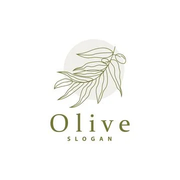 Olive Oil Logo, Olive Leaf Plant Herbal Garden Vector, Simple Elegant Luxur.. Illustrazione stock
