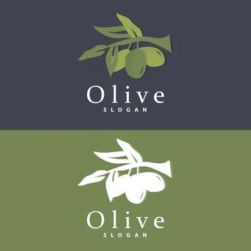 Olive Oil Logo, Olive Leaf Plant Herbal Garden Vector, Simple Elegant Luxur.. 스톡 일러스트