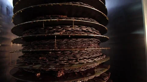 Olive oil mill Stock Footage 61803129