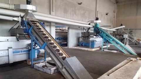 Olive Oil Mill Stock Footage 84798443