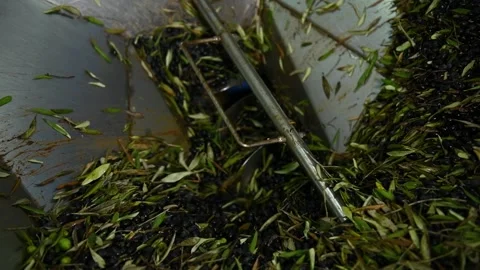 Olive Oil mill industry, extraction machine process, Puglia, Italy Stock Footage 140216612