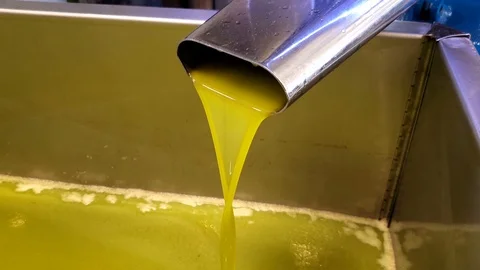 Olive Oil mill industry,extraction machine process,extra virgin oil liquid flow Stock Footage 119059115