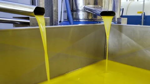 Olive Oil mill industry,extraction machine process,extra virgin oil,haelthy food Stock Footage 220890265