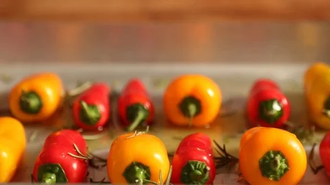 Olive oil on the pepper Stock Footage 101629529