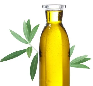 Olive oil Stock Photos