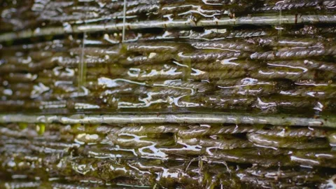 Olive oil pressing machine at work, virgin olive oil production, close-up shot. Vídeos de archivo 283674737