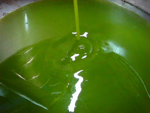 Olive oil processing 스톡 동영상 275045