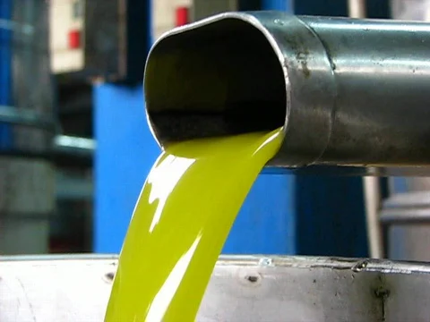 Olive oil processing Видео 275230