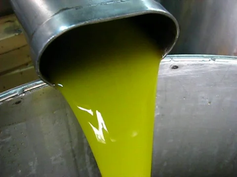 Olive oil processing Stockbeeldmateriaal 275302