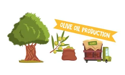 Olive Oil Production Process Set, Harvesting Olives and Delivery Cartoon Style Stock Illustration