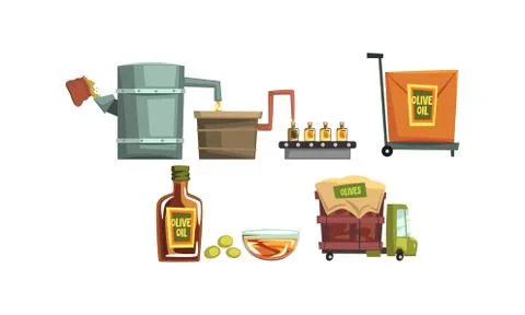 Olive Oil Production Process Set, Harvesting, Pressing Olives and Delivery Stock Illustration