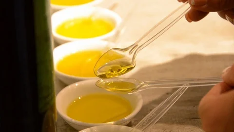 Olive oil tasting Stock Footage 108517167