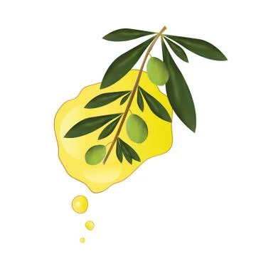 Olive oil vector illustration Stock Illustration