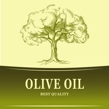 Olive oil. vector  olive tree. for labels, pack. Stock Illustration