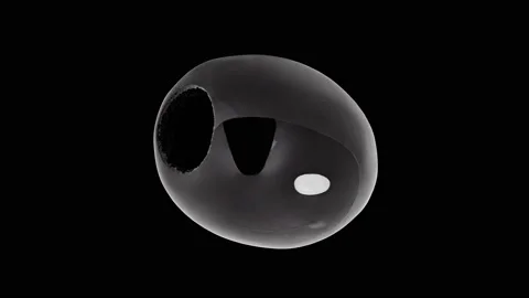 Olive one black isolated on black background 스톡 동영상 221982964