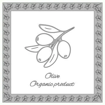Olive organic product Stock Illustration