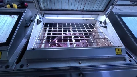 Olive paste being gently mixed in a stainless steel malaxer during olive oil Stock Footage 345654922