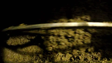 Olive paste in malaxation tank Stock Footage 143870181