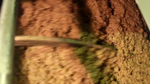 Olive paste in malaxation tank Stock Footage 143870303