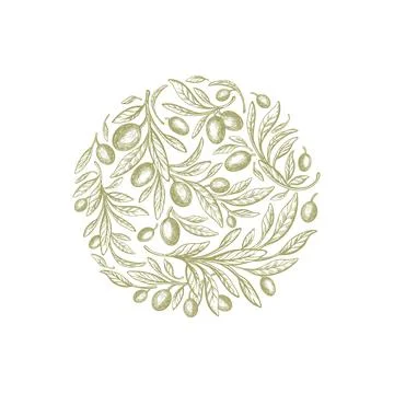 Olive plant in circle Vector texture fruit, leaves Stock Illustration