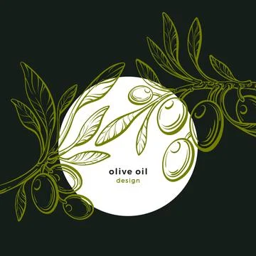 Olive plant. Graphic design. Vector green fruit Stock Illustration