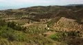 Olive plantations near Nea Skioni village on Kassandra peninsula, Greece HD Footage