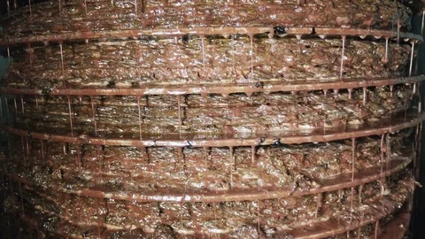 Olive press working in Olive Oil mill- south of italy Video stock 82760993