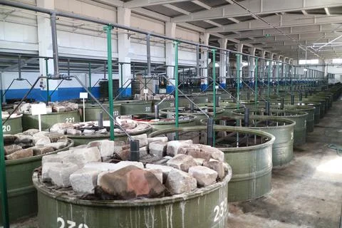 Olive processing factory water tank Stock Photos