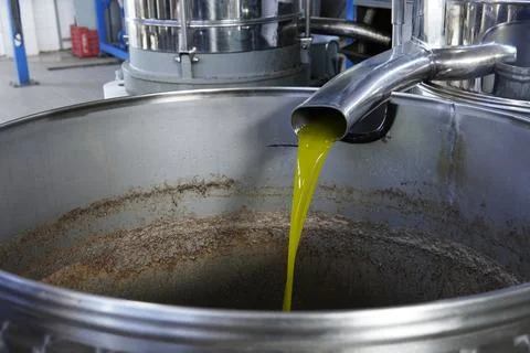 Olive processing line. 스톡 사진